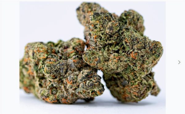 Toad Venom hybrid - Image 2