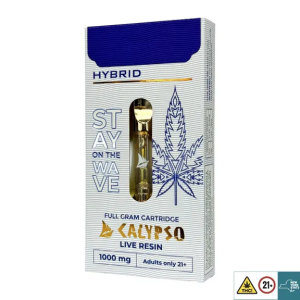 Ice Cream Cake- Hybrid 1 gram