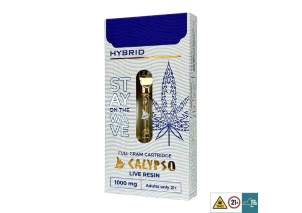 Ice Cream Cake- Hybrid 1 gram