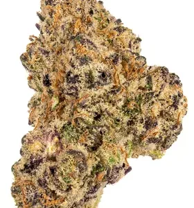 Rainbow Sherbet  Hybrid